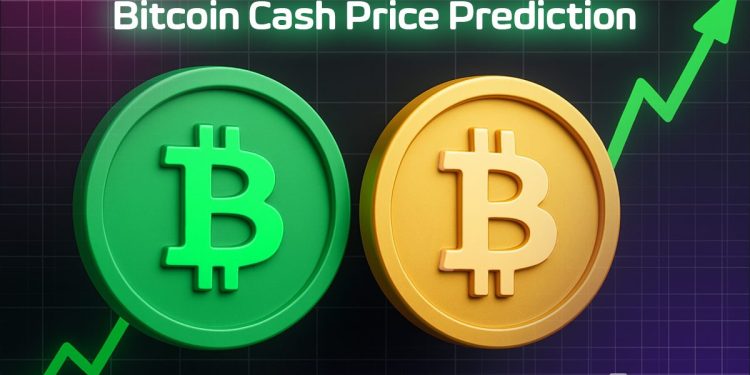 Bitcoin Cash Price Prediction: Traders Bet on BCH to Outperform Bitcoin in June 