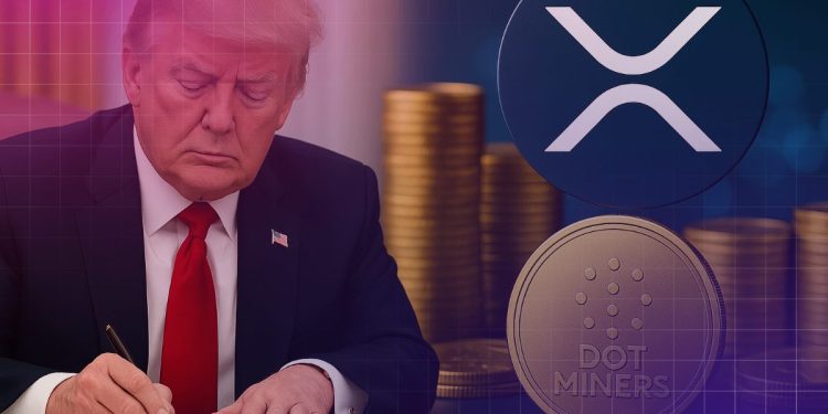 The US GENIUS Act Has Been Enacted, DOT Miners Has Officially Launched a New XRP Cloud Mining Plan