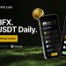Why BlockchainFX ($BFX) Could Be Bigger Than Binance’s BNB Rise Following Presale