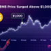 BNB Rallies: Which Altcoins Could Surge Next? | October Report