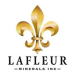 LaFleur Minerals Announces High-Grade Gold Assay Results and Provides Update on Beacon Gold Mill and Swanson Gold Deposit Ramp-Up Activities