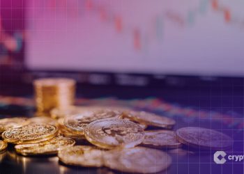 Check Out This ICO Presale: Why BlockchainFX Could Be the Next BNB