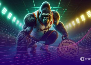 After Recent Crypto Shakeout, Which Coin Rises Next?