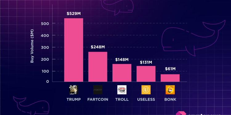 Whales Are Buying These Solana Meme Coins | Research