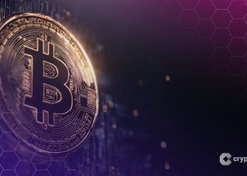 “Working on It”: Senator Lummis Backs Jack Dorsey’s Push for a Bitcoin Tax Exemption