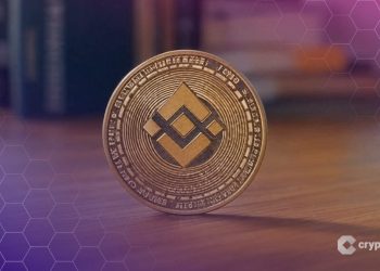 BNB Meme Coins Crash Up to 95% After CZ Dismisses ‘Endorsement’ Claims