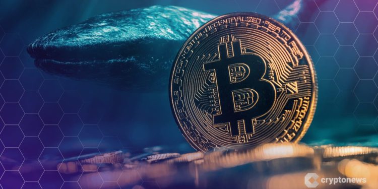 Crypto Whale Opens New $163M Bitcoin Short After $192M Win