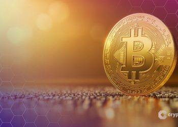 Big Companies Are Quietly Loading Up on Bitcoin — 48 New Treasuries in 3 Months: What Do They Know?