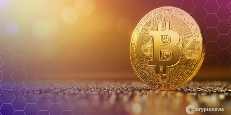 Big Companies Are Quietly Loading Up on Bitcoin — 48 New Treasuries in 3 Months: What Do They Know?