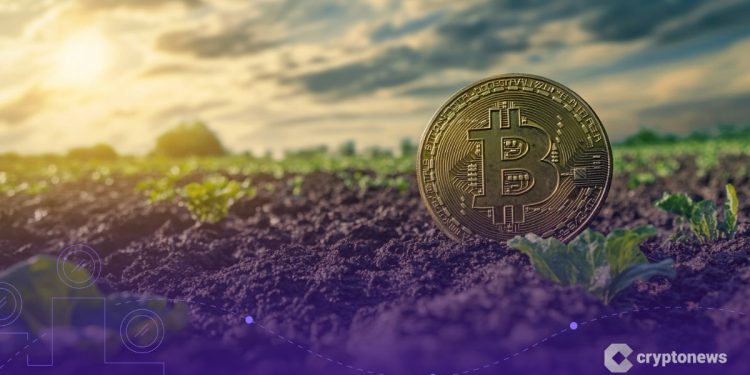 Crypto Market Prospect: After the Washout, the Soil Looks Richer