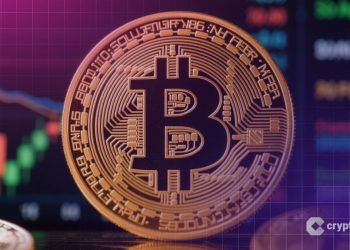 BTC Crash? PAXMining Turns a Downtrend into a Starting Point