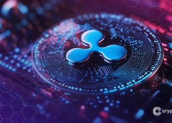 Indian Court Blocks WazirX From Using User’s XRP to Cover Hack Losses