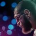 UFC Champ Khabib Nurmagomedov Enters Tokenization Ring — Mavryk Network Supports Gym Empire