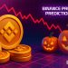 BNB Coin Price Prediction: As Market Sentiment Turns Grim, Can BNB Shift And Reach a New ATH in November?