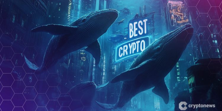 Best Crypto to Buy Now 3 October – XRP, Zcash, Aster