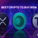 Best Crypto to Buy Now 7 October – XRP, Plasma, Bittensor