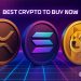 Best Crypto to Buy Now 17 October – XRP, Solana, Dogecoin