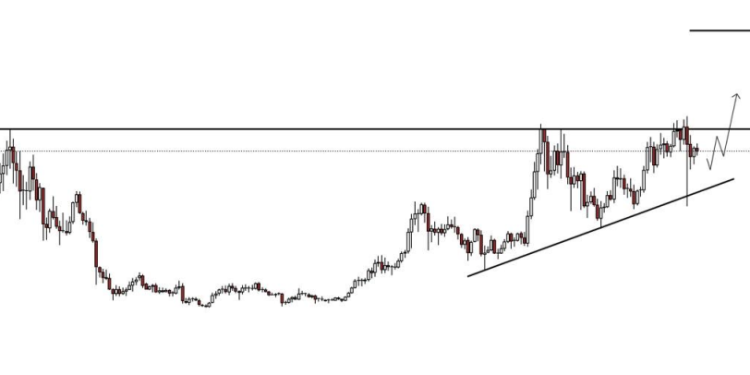 Expert Crypto Analyst Says Fed Rate Cut Might be The Start of Reversal and Not Altcoin Season – What Does This Mean for SOL and XRP Prices in November 2025?