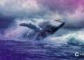 MEXC Apologizes After Wrongfully Freezing $3M From Crypto Whale ‘The White Whale’