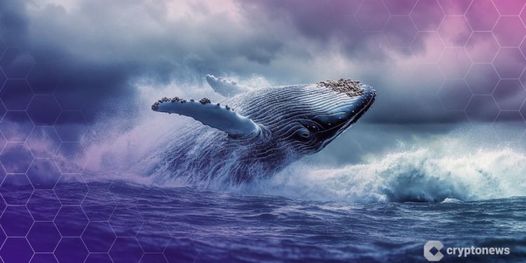 MEXC Apologizes After Wrongfully Freezing $3M From Crypto Whale ‘The White Whale’