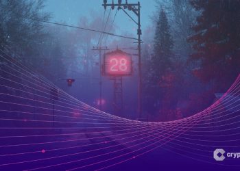 Decred, Dash and Internet Computer Break From the Trend in a Quiet Altcoin Season