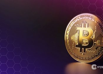 Adam Back Defies Bitcoin Dip, Securing $35M for New Institutional BTC Treasury