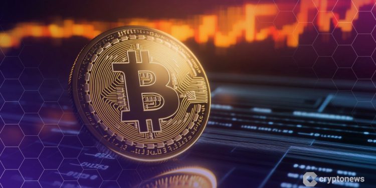 Data Shows Bitcoin Buyers Going All-In at Record Pace