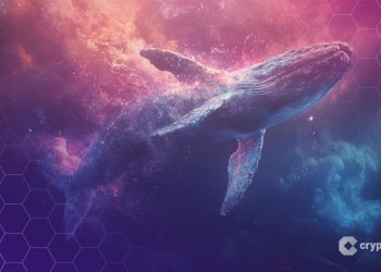 Ethereum Whales Accumulate 7.6M ETH, Hinting at Possible Trend Reversal: Analyst