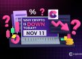 Why Is Crypto Down Today? – November 11, 2025
