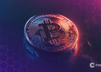 Willy Woo Urges Bitcoin Holders to Migrate from Taproot Before Quantum Era