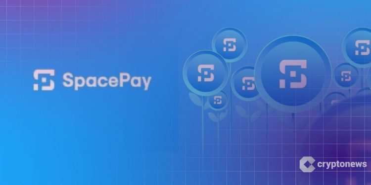 SpacePay: One of the Rising Platforms to Keep an Eye On This Year