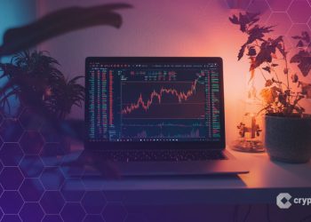 Bitwise CIO Declares ‘Compliant ICOs’ Will Power Crypto’s Next Bull Run – Here’s Why