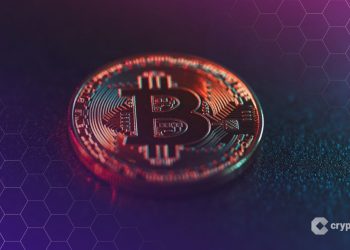 Japan Exchange Operator Eyes Rules to Rein In Crypto Holdings by Listed Companies: Report