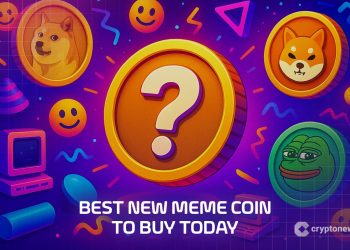 Best New Meme Coin to Buy Today – 13 November