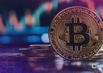 Bitcoin’s Value Comes From Its Utility, Not Short-Term Price Drops: Bitwise CIO