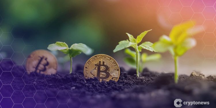 DeFi Advocates Propose $30B Plan to Fight Global Poverty — Here’s the plan