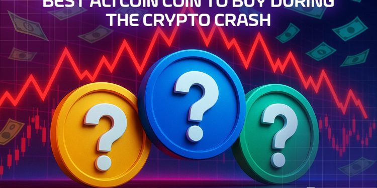 Best Altcoin Coin to Buy During the Crypto Crash – 24 November