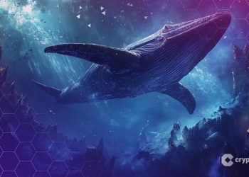 Hyperliquid Whale Who Made $200M on Oct. 10 Crash Now Long $44.5M in ETH