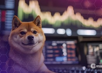 Bitwise Launches Dogecoin ETF on NYSE as Demand For Altcoin ETFs Grows
