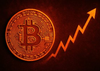 Bitcoin Above $91K Eases Stress – But Depth, Flows and Stablecoins Still Call the Shots