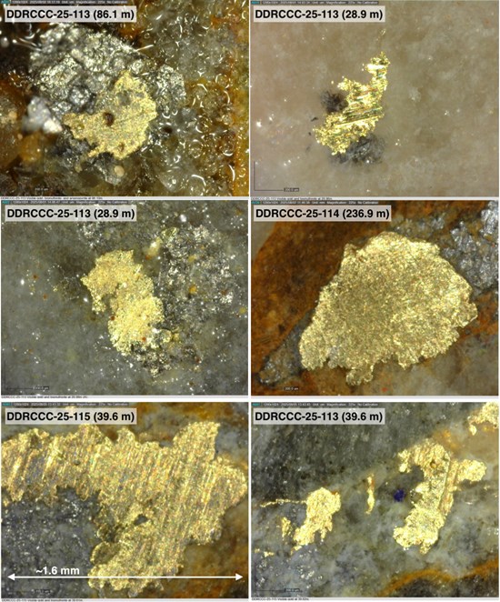 Cannot view this image? Visit: https://tradehavenhub.com/wp-content/uploads/2025/11/274133_fc8a8fb4f4ed5acf_006.jpg