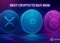 Best Crypto to Buy Now 4 November – XRP, Cardano, Shiba Inu