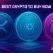 Best Crypto to Buy Now 4 November – XRP, Cardano, Shiba Inu