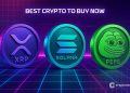 Best Crypto to Buy Now 25 November – XRP, Solana, PEPE