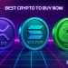Best Crypto to Buy Now 25 November – XRP, Solana, PEPE