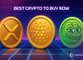 Best Crypto to Buy Now 10 November – XRP, Cardano, Pepe