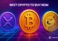 Best Crypto to Buy Now 24 November – XRP, Bitcoin, Dogecoin