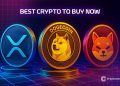 Best Crypto to Buy Now 28 November – XRP, Dogecoin, Shiba Inu
