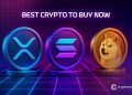 Best Crypto to Buy Now 5 November – XRP, Solana, Dogecoin