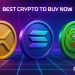 Best Crypto to Buy Now 21 November – XRP, Solana, PEPE